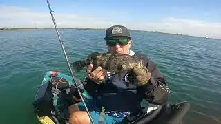 Spotted Bay Bass