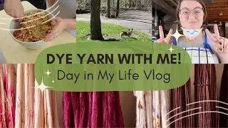 DYEING YARN Orders | Daily Vlog | Trying a New Recipe | Knitting Podcast