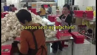 Cheap single specification hot melt glue carton sealing machine 便宜單一規格熱熔膠封盒機 #PackagingMachine