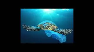 World Environmental Day Documentry 2025 || 