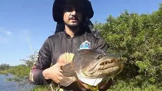 Pescaria de trair&atilde;o amaz&ocirc;nico 