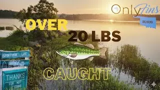 Sportsman Lake | Over 22 lbs of Largemouth Bass Caught