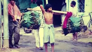 Shoulder Pole for carrying items