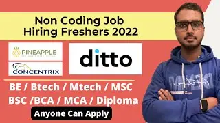 Latest Non coding IT Jobs 2022 | Pineapple Hub, ditto, Concentrix Hiring Freshers 2022