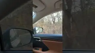 Fischer driving in