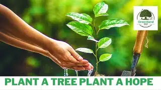 Tree Donation | Planning to Plant 20,000,000 Trees | Biggest Project Ever | Greeniland