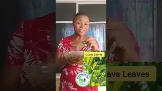 How to improve your sleep with Guava leaves | Healthy Living -Fight Back With Food.