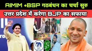 AIMIM और BSP में गठबंधन पर चर्चा|Utterperdesh में BJP का सफाया