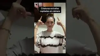 Criaturas extra&ntilde;as capturadas en c&aacute;mara
