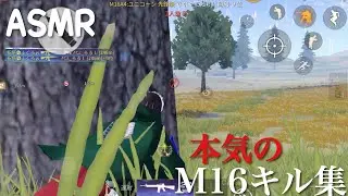 【荒野行動】M16キル集　圧倒的ヘッド率　#15