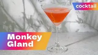 Monkey Gland Cocktail Recipe | Classic Gin, Orange & Absinthe Drink from the 1920s