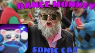 🎶DANCE MONKEY - SONIC CAT!🎶