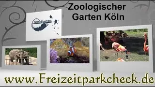 Kölner Zoo - Impressions 2015 UHD/4k