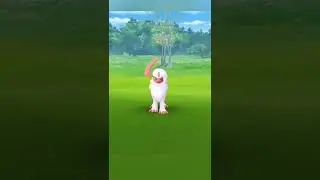 My first  shiny Pokemon
