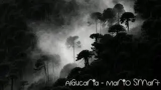 Araucaria - Mario Smart