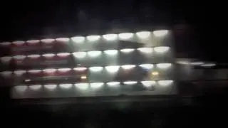 sug(r)cane - Youth