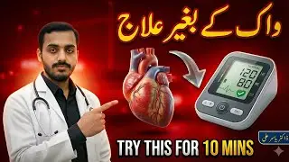 The Best Exercises for Lowering Blood Pressure
