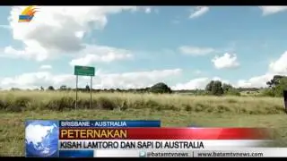 Ternak Sapi di Australia