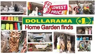 Dollarama Dollar Store 🔥Home Garden Now Find In Canada#dollaramacanada#garden#snow