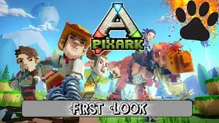 First Look - Pixark