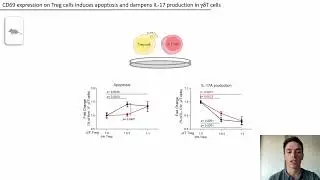 CD69 expression protects from immune damage after MI