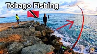 This is where the action is | Trinidad and Tobago Fishing 🇹🇹