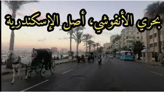 منطقة بحري و الانفوشي أصل الإسكندرية