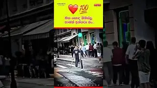 හිත හොඳ මිනිස්සු ඉන්නවද බං? ❤️💯 #motivation #quote #inspire #girls #boys #woman #women