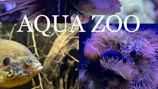 AQUAZOO NORDPARK || THE MARVELLOUS MOM