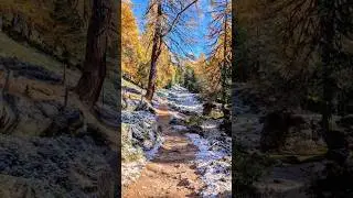 Val da Camp Herbst 2025 #schweiz #herbst #wandern