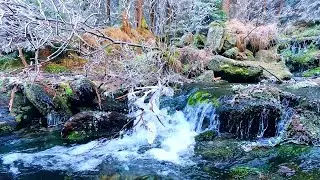 Sound of Winter forest Creek for sleep and meditation.10 hrs