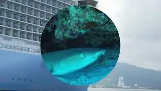 The Symphony of the Sea