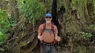 This trail surprised us!//Hiouchi Trail adventure hike!