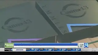 Blueberry farm invests in marijuana dispensary