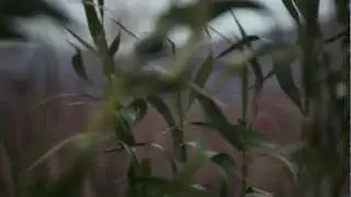 Moderat - Seamonkey - Music Video by Meriturva