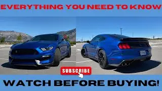 Mustang Shelby GT350 - Ultimate Buyers Guide!