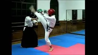 Epic Aikido vs Taekwondo (Black Belt Sparring)
