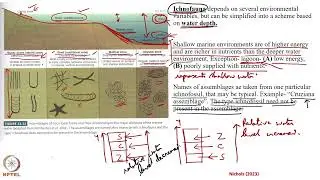 Week 12: Lecture 56: Sequence Stratigraphy &ndash; VI, coastal & marine deposits