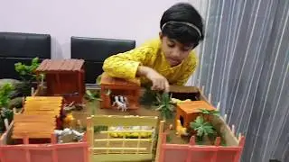 School Project Animal and their Young Ones and animal shelter
