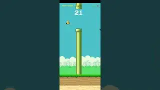 I play the copy game of flappy bird. 