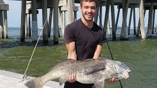 Bridge Monster caught on light  tackle!!😮😮💪💪