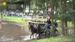 Dirk Neerincx Ned)   Marathon   CAI BREDA 2013