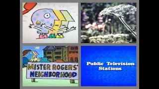 PTV Park Program Break (1996 WTVS)