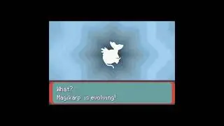 Pokemon Emerald - Evolving a Gold Magikarp into Red Gyarados