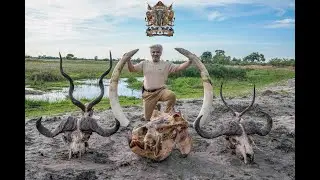 Охотничье сафари на слонов, буйволов, бегемотов, крокодилов и равнинных животных в Каприви, Намибия.