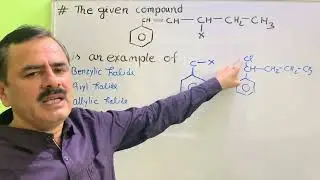 Bezylic Allylic Vinylic Aryl halides || Organic Halo Compounds || NEET 2023 question || BSc || JEE |