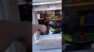 Pound it