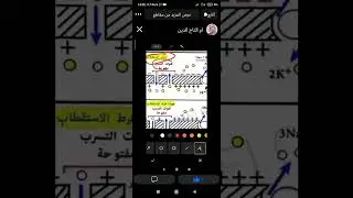 كمون العمل عودة وزوال الإستقطاب 
