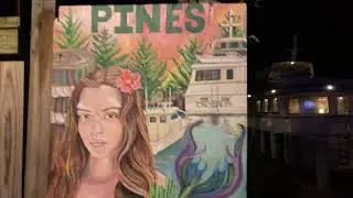 Fire Island Pines 🌲 NY marina walking tour New York USA summer 2021 4K night video