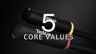 Telco Sensors - 5 Core Values
